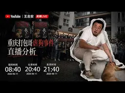 重庆打包哥虐狗事件直播分析｜高清直播回放版20260611